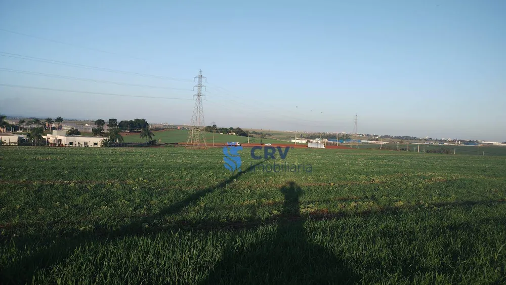 Terreno, 30 hectares - Foto 3