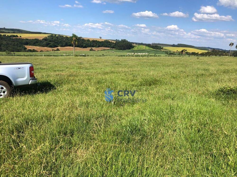 Fazenda à venda, 1573000M2 - Foto 4