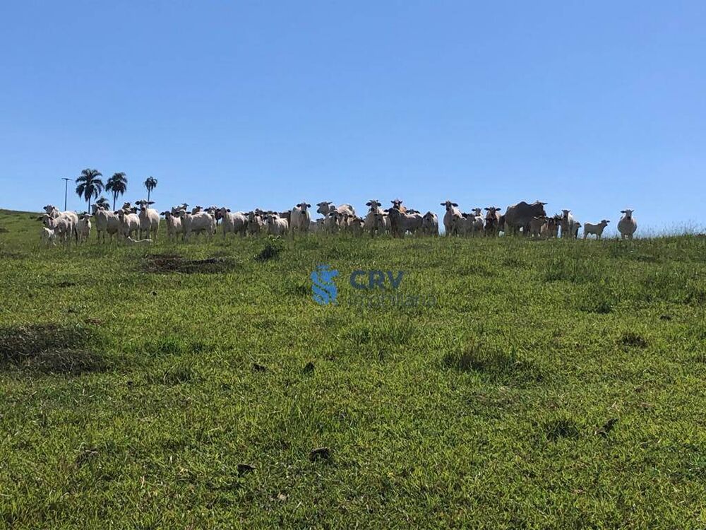 Fazenda à venda, 1573000M2 - Foto 1