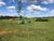 Fazenda, 157 hectares - Foto 5