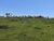 Fazenda, 157 hectares - Foto 1