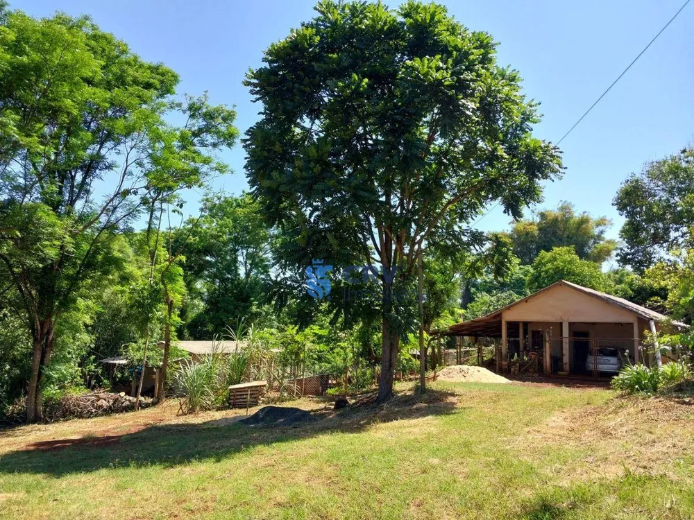 Sítio, 3 hectares - Foto 1