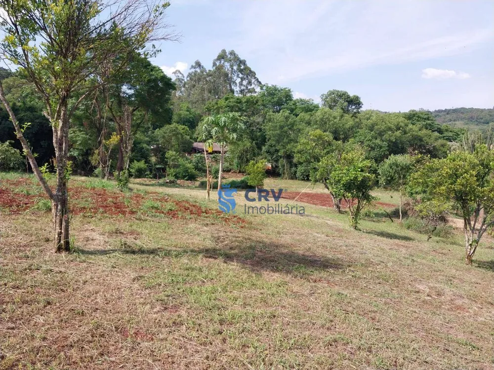 Sítio, 3 hectares - Foto 4