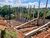Depósito-Galpão, 2400 m² - Foto 3