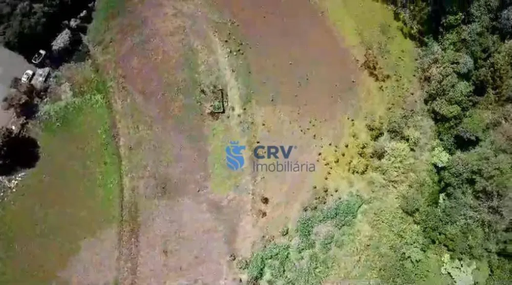Terreno, 2 hectares - Foto 7