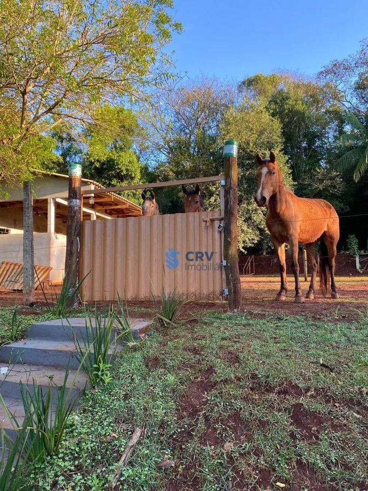 Chácara, 3 quartos, 6000 m² - Foto 6