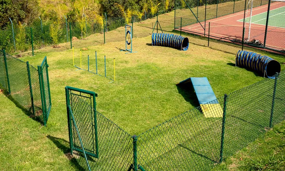 Terreno, 250 m² - Foto 4