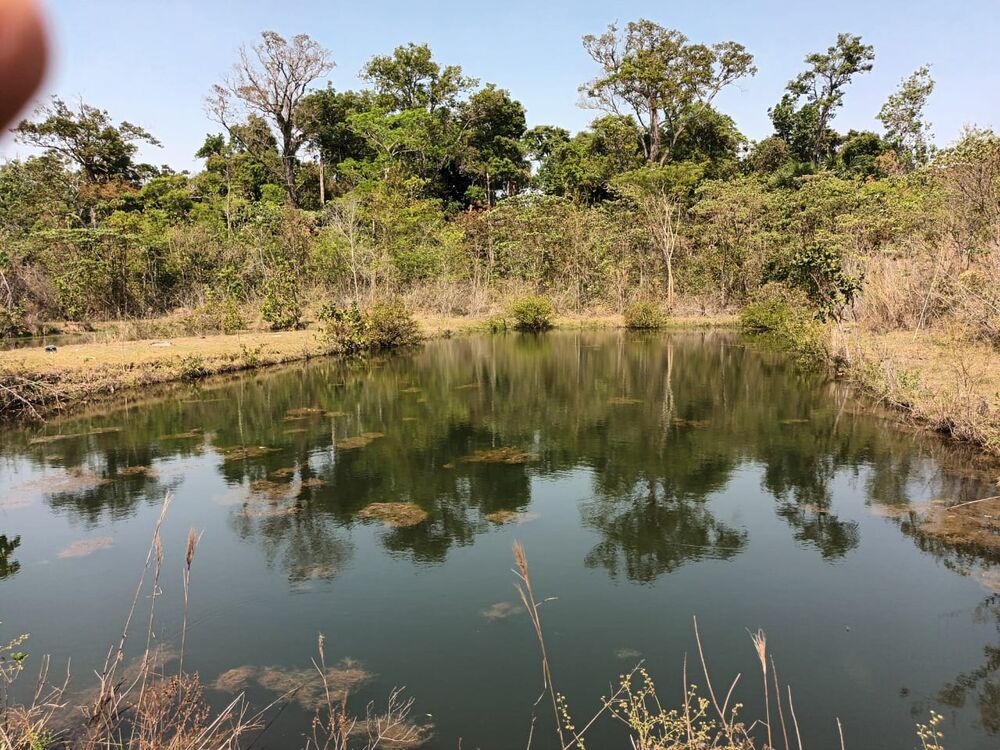 Fazenda à venda, 110m² - Foto 3