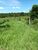 Fazenda - Foto 4