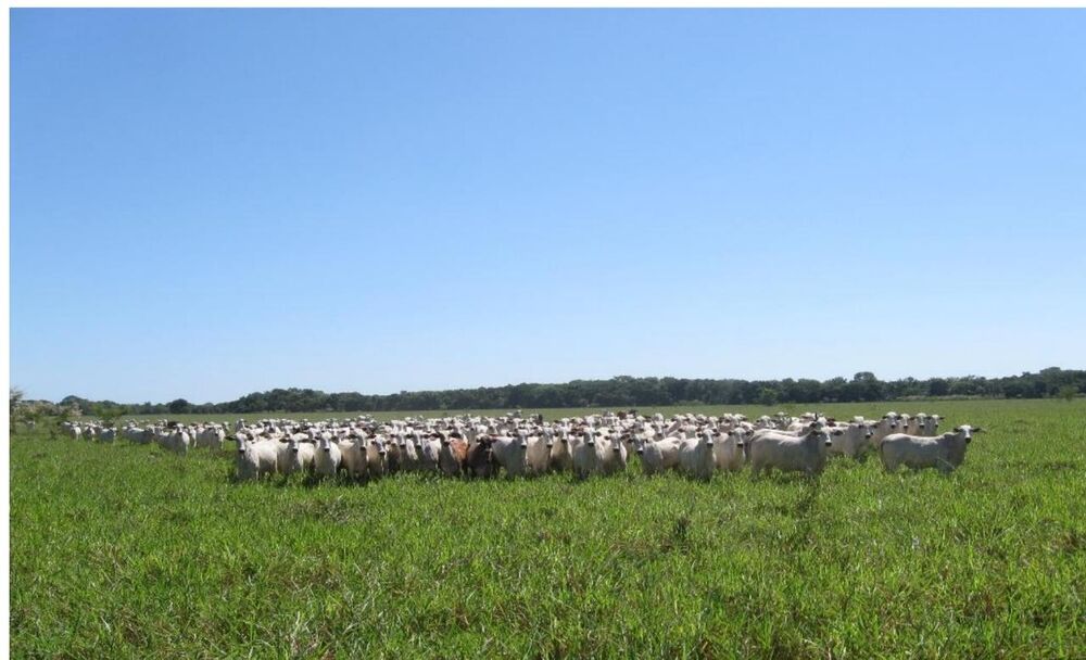 Fazenda à venda, 1652m² - Foto 2