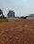 Terreno, 300 m² - Foto 2