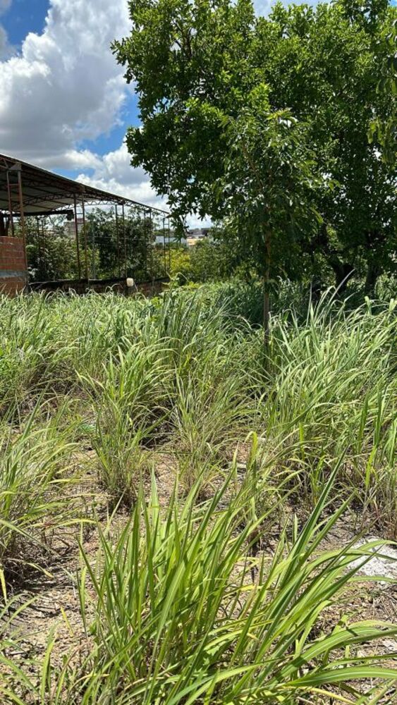 Terreno à venda, 200m² - Foto 1