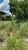 Terreno, 200 m² - Foto 1