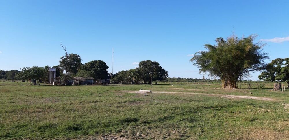 Fazenda - Foto 1