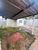 Casa, 2 quartos, 65 m² - Foto 14