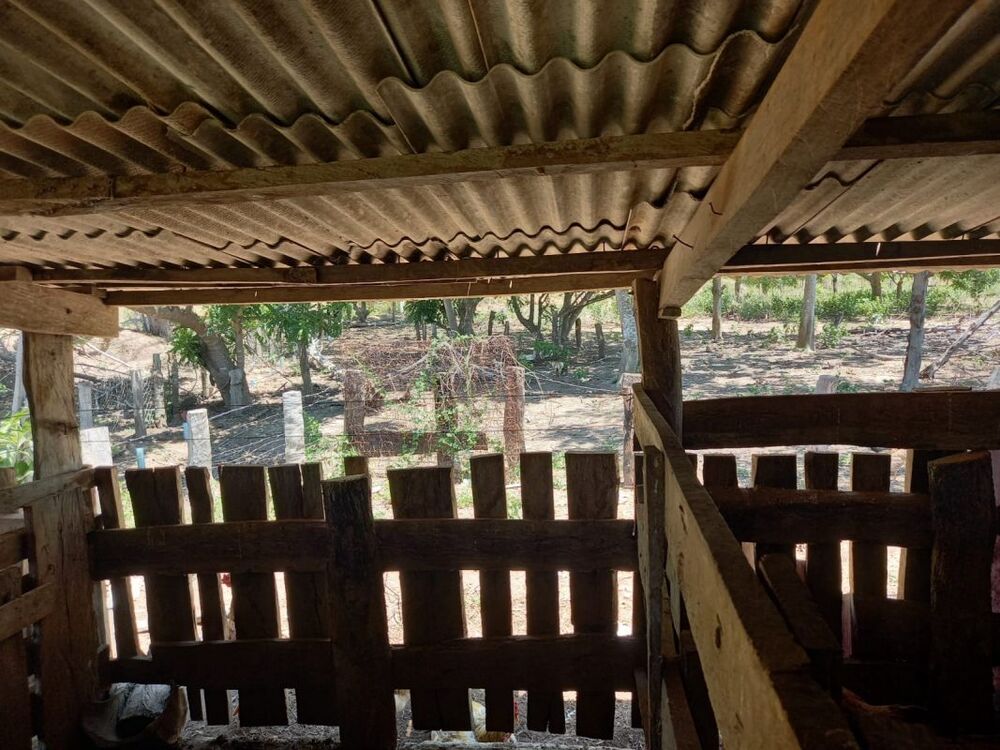 Sítio, 2 quartos - Foto 13