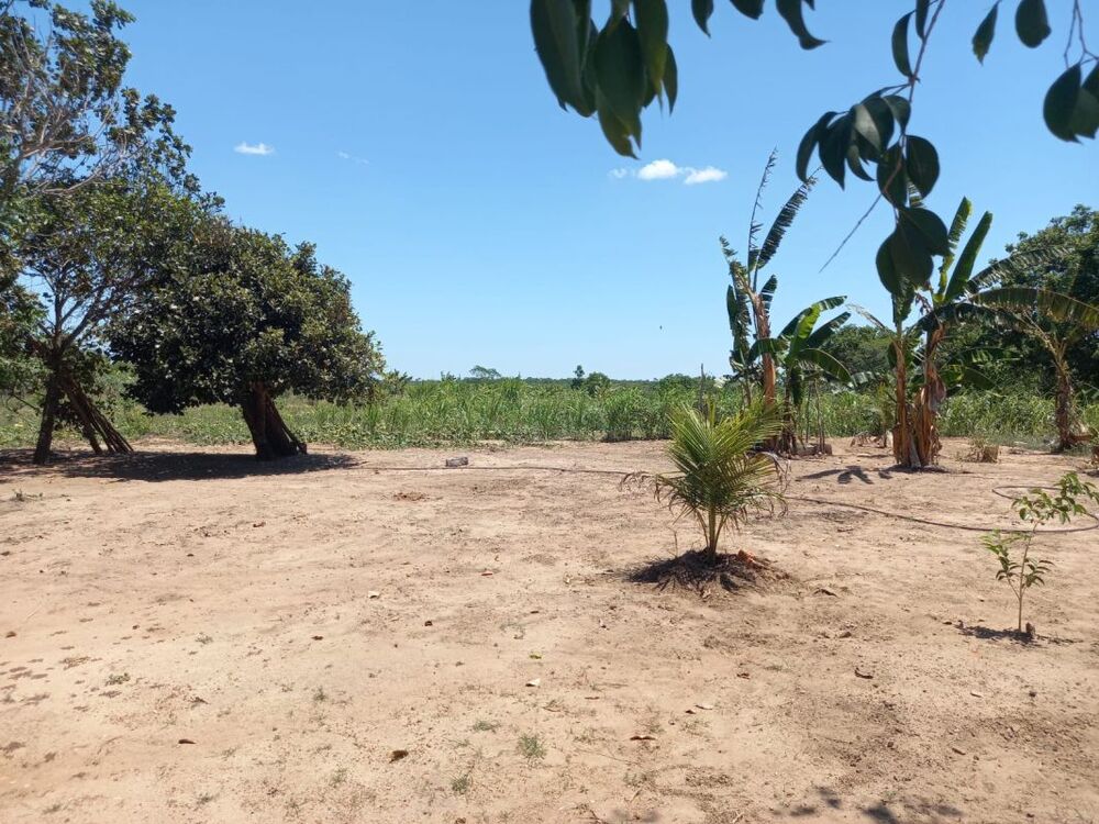 Sítio, 2 quartos - Foto 2