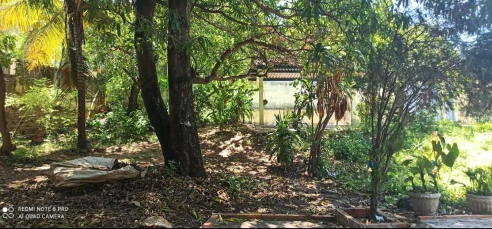 Casa, 4 quartos, 229 m² - Foto 2