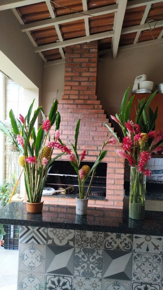 Chácara, 2 quartos - Foto 1