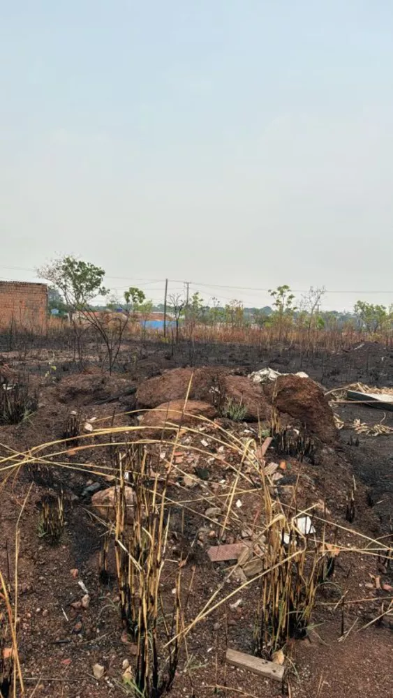 Terreno à venda - Foto 2