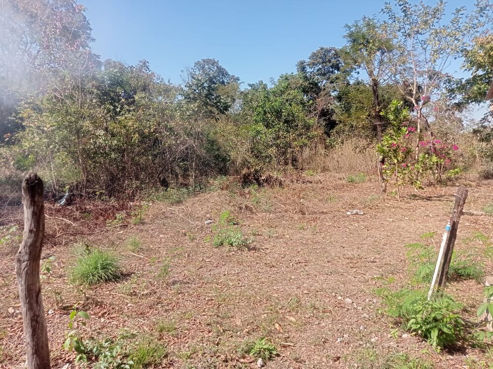 Chácara à venda com 4 quartos - Foto 2