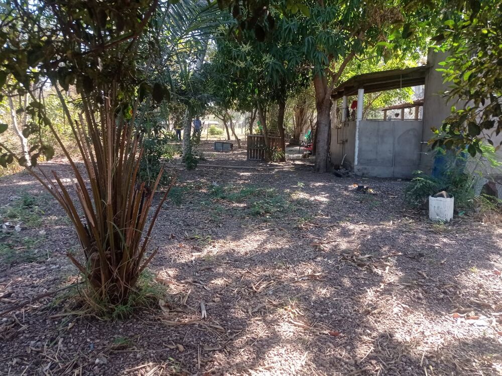 Chácara à venda com 4 quartos - Foto 1