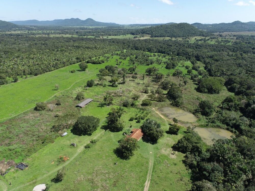 Fazenda - Foto 1