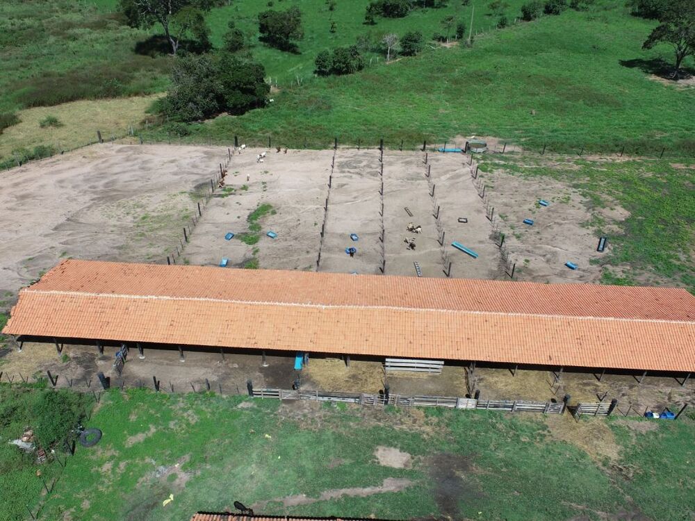 Fazenda - Foto 2