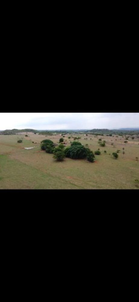 Fazenda-Sítio-Chácara - Foto 6