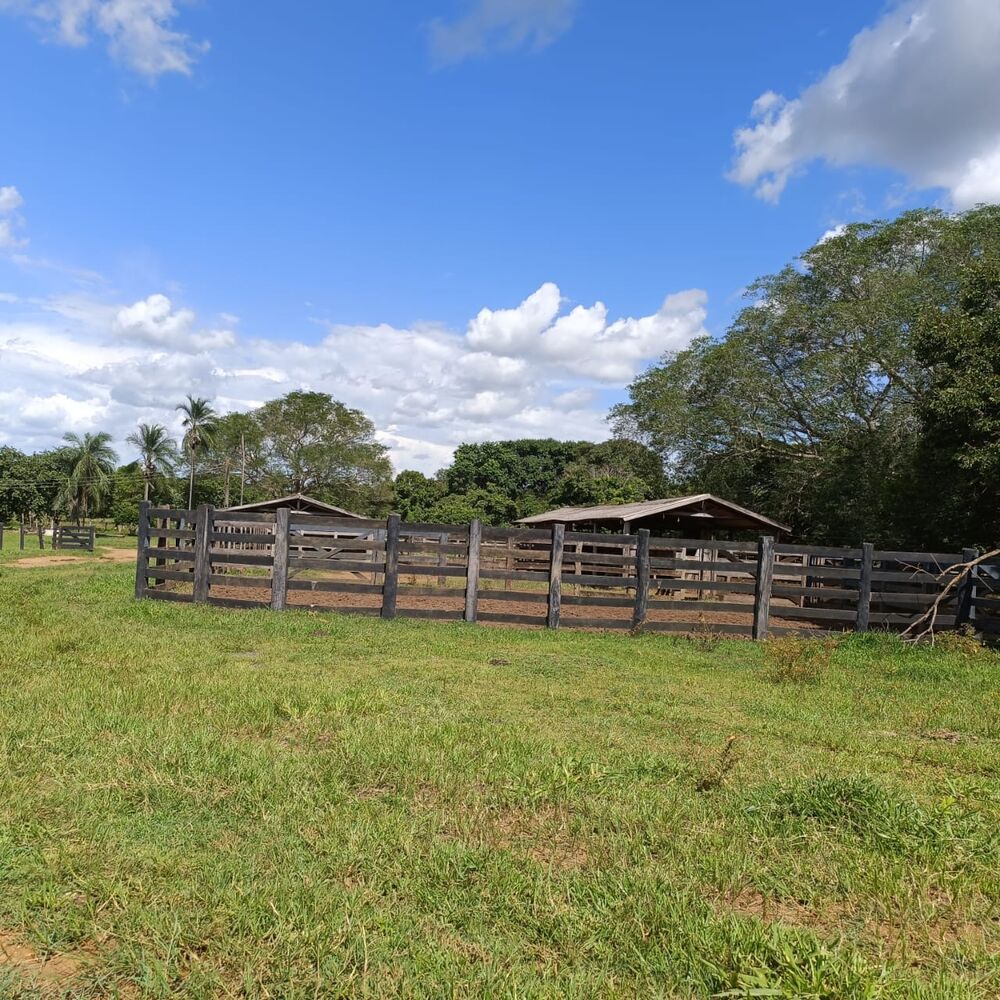 Fazenda-Sítio-Chácara - Foto 7