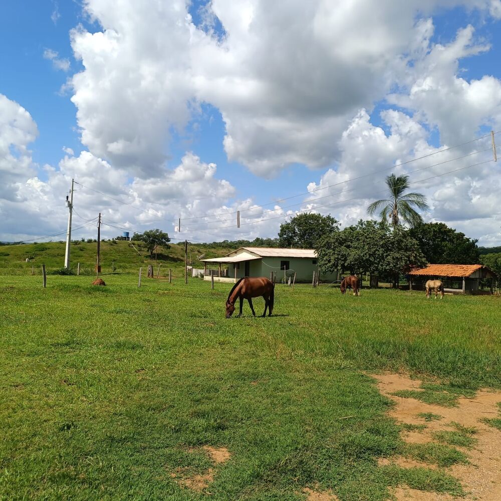 Fazenda-Sítio-Chácara - Foto 8