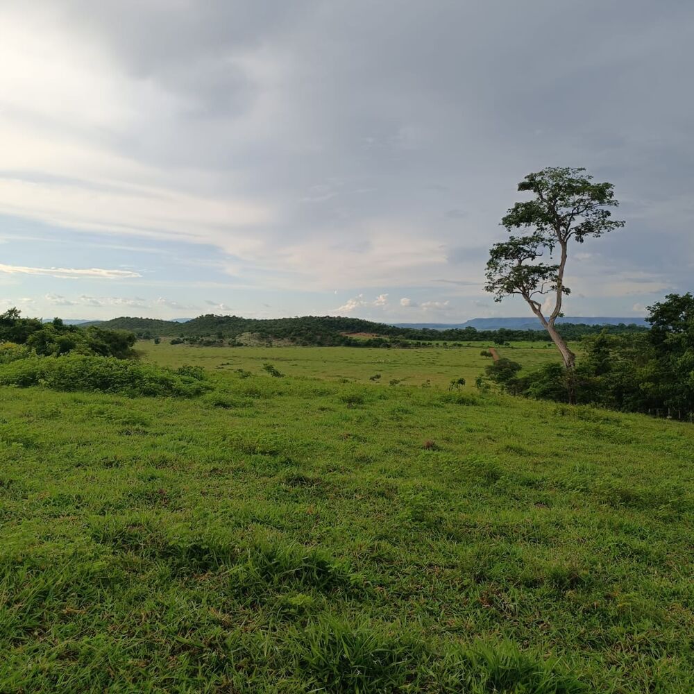 Fazenda-Sítio-Chácara - Foto 9