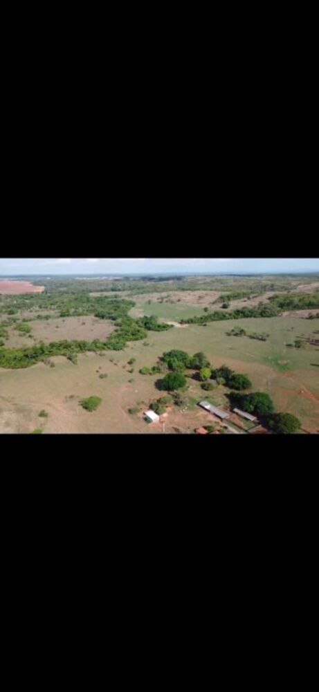 Fazenda-Sítio-Chácara - Foto 10