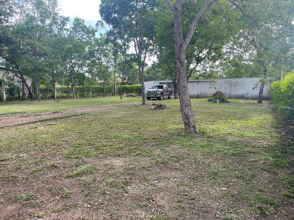 Chácara à venda com 2 quartos - Foto 3