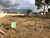 Terreno - Foto 1