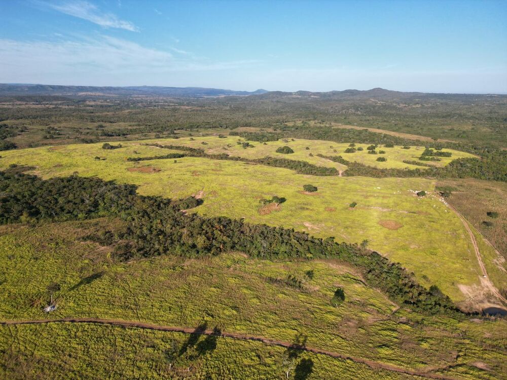 Fazenda à venda com 3 quartos, 256m² - Foto 4