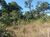 Fazenda-Sítio-Chácara - Foto 1