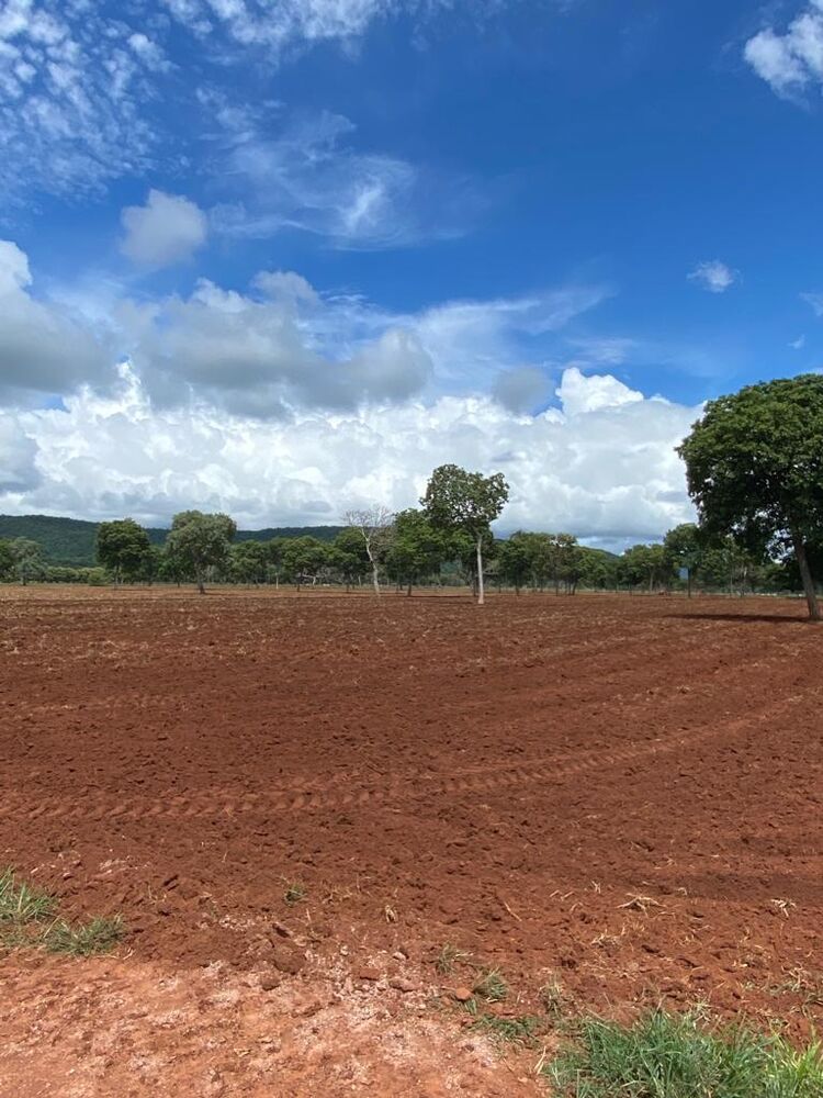 Fazenda à venda, 1334m² - Foto 3