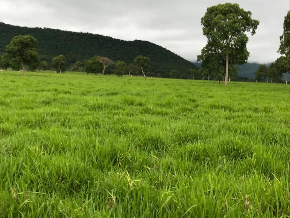 Fazenda à venda, 1334m² - Foto 4