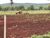 Fazenda-Sítio-Chácara - Foto 2