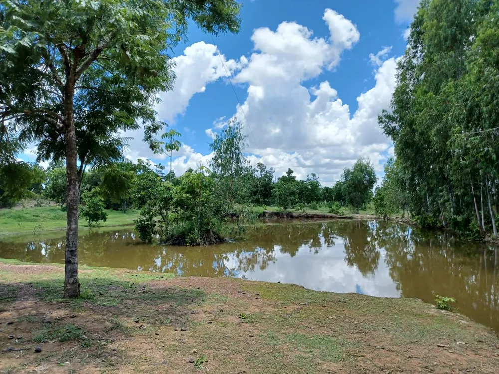 Fazenda à venda com 2 quartos, 6m² - Foto 1