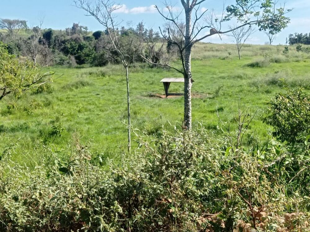 Fazenda - Foto 28