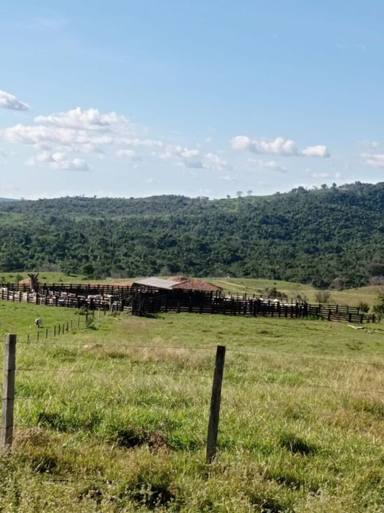 Fazenda - Foto 25