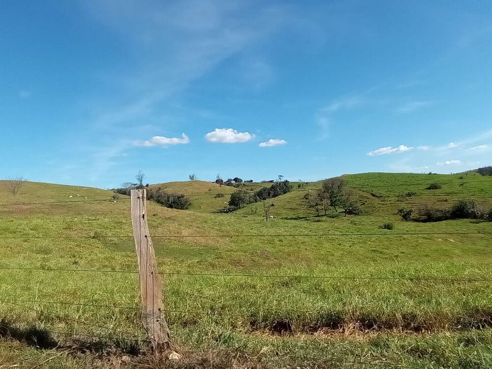 Fazenda - Foto 4