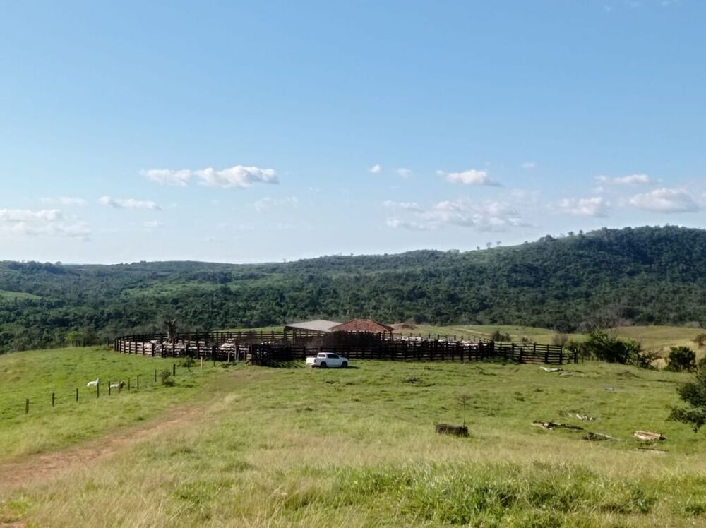 Fazenda - Foto 19