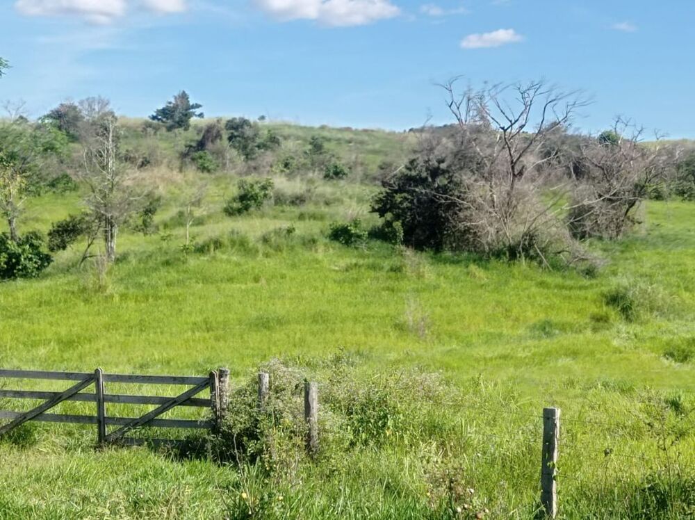 Fazenda - Foto 30