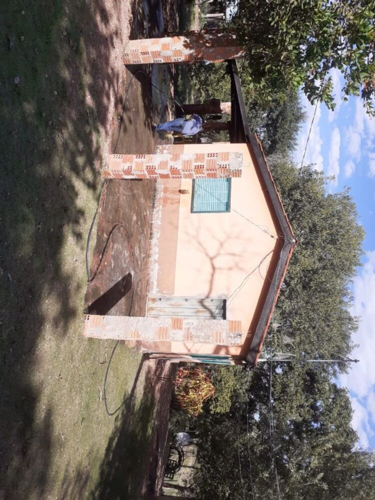 Sítio - Foto 4