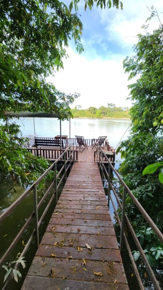 Chácara à venda com 4 quartos, 250m² - Foto 31