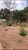Terreno - Foto 2