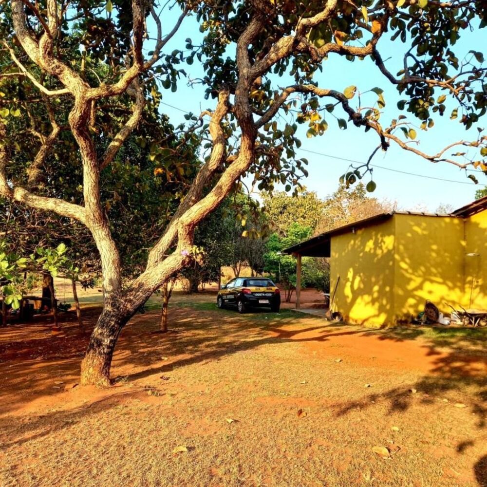Sítio à venda com 2 quartos, 1m² - Foto 3